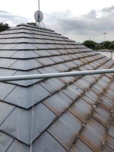 屋根のコケが目立っている状態