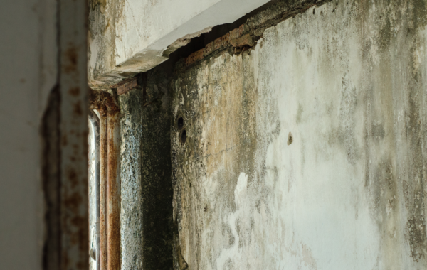 スクリーンショット 2023-02-16 101907